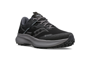 women's shoes Saucony S10799-10 RIDE 15 TR GTX BLACK/CHARCOAL