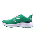 INOV8 ROADFLY MAX M (S) green/white