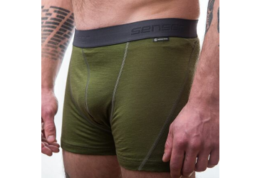 SENSOR MERINO ACTIVE men's shorts safari green Size: