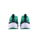 INOV8 ROADFLY MAX M (S) green/white