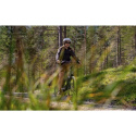 SELLE ROYAL LOOKIN