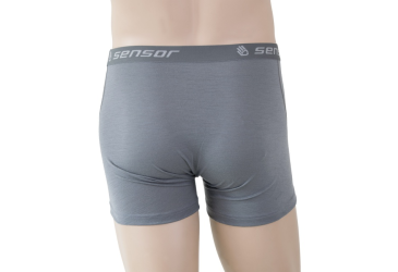 SENSOR MERINO ACTIVE men's shorts sv.grey Size: