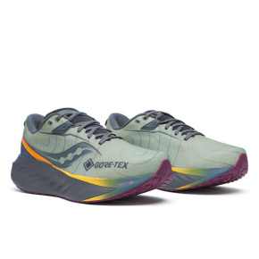 men's shoes Saucony S20966-254 TRIUMPH 22 GTX sage/carbon 46