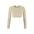 W Top CRAFT Collective Rib Cropped LS
