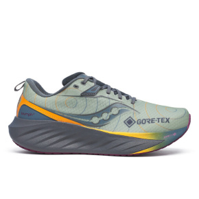 men's shoes Saucony S20966-254 TRIUMPH 22 GTX sage/carbon 46.5