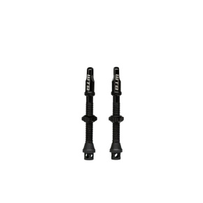 WTB ventilky TCS AL Max-Flow Presta Valve 55mm černá 2ks