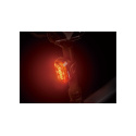 TOPEAK light TAILLUX 100 USB red/yellow