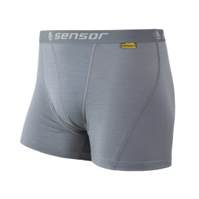 SENSOR MERINO ACTIVE men's shorts sv.grey Size: