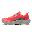 pánská obuv saucony S101114-1018 RIDE TR3 vizired/gadget
