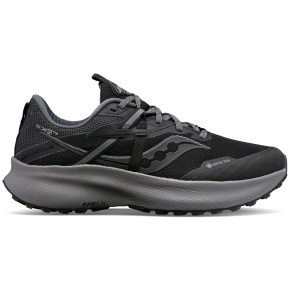 women's shoes Saucony S10799-10 RIDE 15 TR GTX BLACK/CHARCOAL 36