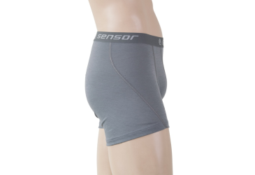 SENSOR MERINO ACTIVE men's shorts sv.grey Size: