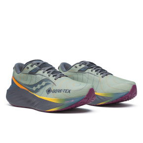 men's shoes Saucony S20966-254 TRIUMPH 22 GTX sage/carbon