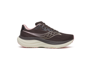 dámská obuv saucony S101513-1004 RIDE 19 torte/eggshell